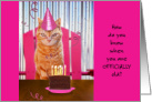 Tabby Cat Whiskers Outnumber Candles Birthday Pussy Humor for Her card