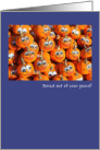 Social Distancing Encouragement Bored our of your Gourd Funny Pumpkins card