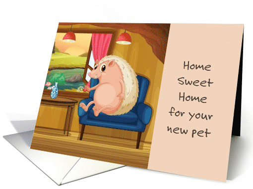Pet Hedgehog Home Sweet Home in a Chair Congratulations card (1635498)