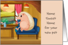 Pet Hedgehog Home Sweet Home in a Chair Congratulations card