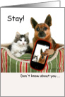 Stay-cation Greetings Dog Cat Selfie Stay Sit Shake card