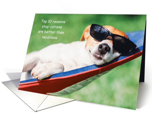 10 Reasons Stay-cations are Better than Vacations Dog in... (1637760)