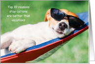 10 Reasons Stay-cations are Better than Vacations Dog in Hammock Humor card