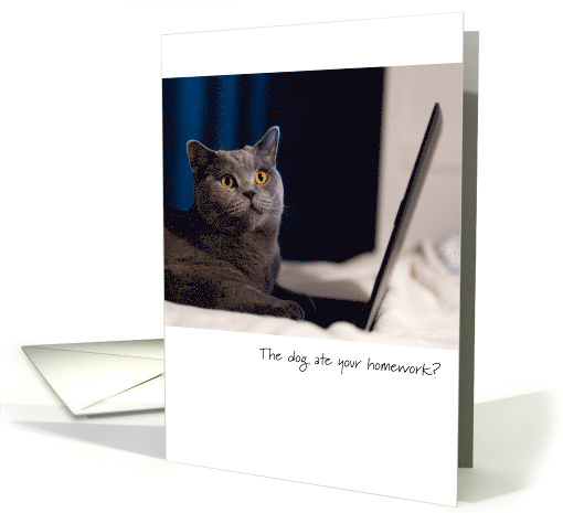 Coronavirus Virtual School Cat on Laptop Dog Ate Homework Humor card