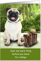 Off to College Moving Pug Dog Tropical Luggage Take me with you Humor card