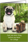 Off to College Moving Pug Dog Tropical Luggage Take me with you Humor card