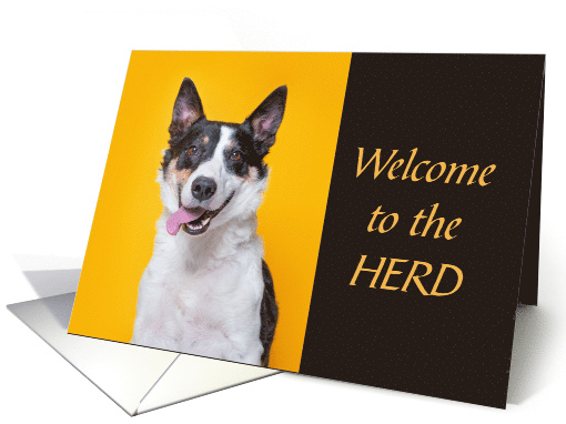 COVID Humor Herding Cattle Dog Welcome to Immunity Herd card (1702418)