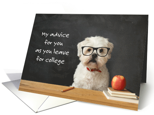 College Moving White Dog Advice Take Me With You card (1702426)