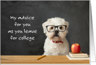 College Moving White Dog Advice Take Me With You card
