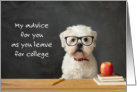 College Moving White Dog Advice Take Me With You card