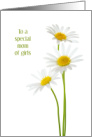 Girl Mom Mother’s Day Three Daisy Special Mom of Girls card