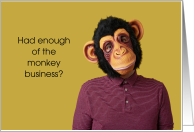 New Job Monkey Business Congratulations card