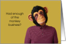 New Job Monkey Business Congratulations card