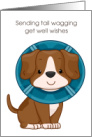 Get Well Tail Wagging Wishes Brown Dog in Cone card