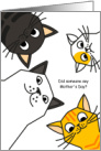 Cat Mom Mother’s Day from the Cats All Ears card