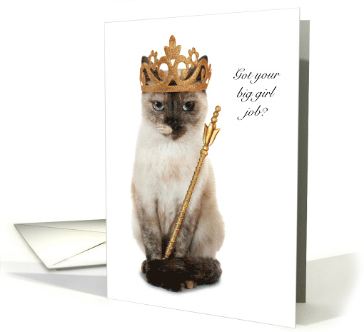 Slay Queen Big Girl Job Congratulations Tortie Cat Queen card