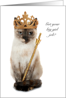 Slay Queen Big Girl Job Congratulations Tortie Cat Queen card