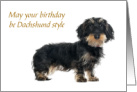 Long and Fancy Dachshund Dog Birthday Humor card