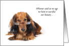 Dachshund Long Haired Reading Glasses Aging and Beauty Humor card