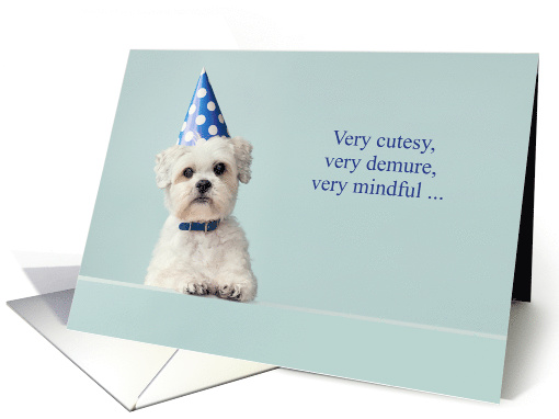 Very Cutesy Demure Mindful Birthday with Dog and Blue Hat card