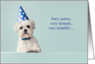 Very Cutesy Demure Mindful Birthday with Dog and Blue Hat card