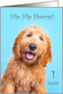 1st Birthday Goldendoodle Dog Hip Hip Hooray One card