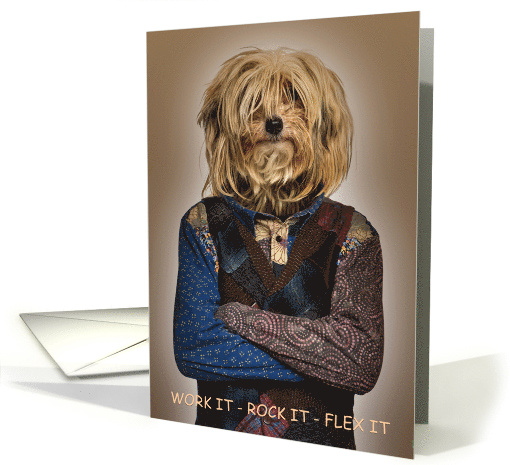 Shaggy Dog Long Hair Transplant Get Well Surgery Humor card (1910706)