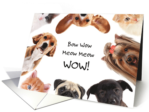 Dogs and Cats WOW Congratulations card (1914074)
