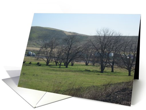 Tassajara Hills Pasture card (26228)