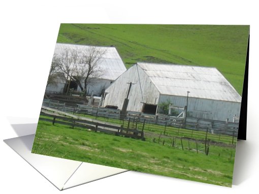 Old Barns with Life card (48038)