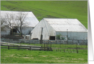 Old Barns with Life card
