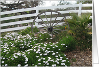 Alamo Wagon Wheel Blank Note Card