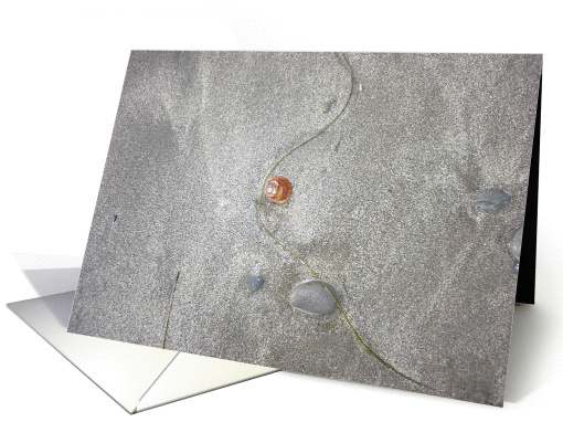 Shoreline Treasures card (97568)