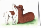 Paca kisses card