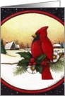 christmas cardinal card