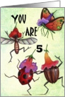 bug party 5 card