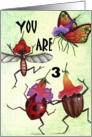 bug party 3 card