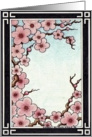 cherry blossoms card