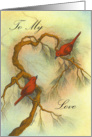 love birds/valentine card