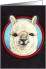 Alpaca card