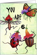 bug party 6 card