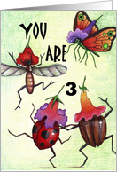 bug party 3 card