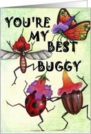 Best Buggy card