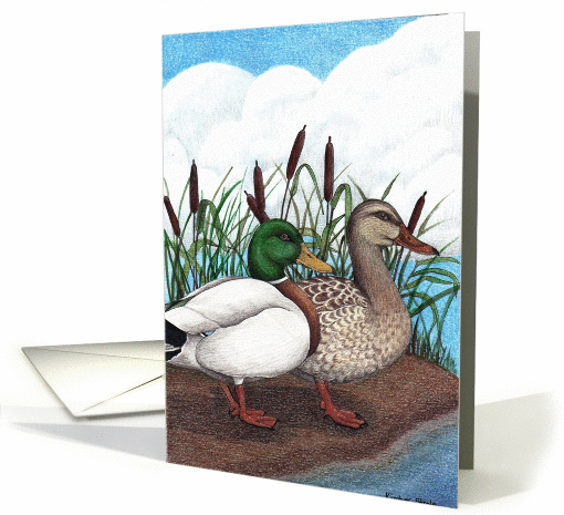 Mallard ducks/blank card (35197)