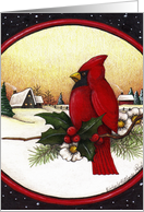 winter cardinal...