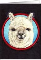 Alpaca card