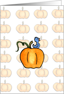 Pumpkin Bird card
