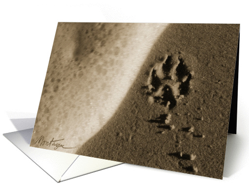 Stella's paw print - Dog Sand card (482563)