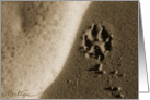 Stella’s paw print - Dog Sand card