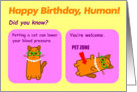 Enjoy the Love on Your Birthday - Cat Birthday Card 7 x 5 card